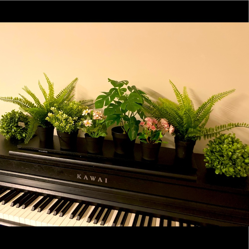 Bundle (9) IKEA FEJKA Faux Plants